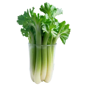 Celery For Detox Png 73 PNG image