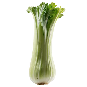 Celery For Detox PNG 92