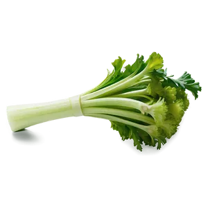 Celery For Juicing PNG 84