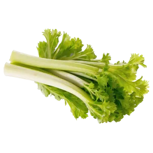 Celery For Salad PNG 06252024