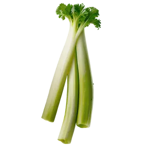 Celery For Salad PNG Ugq