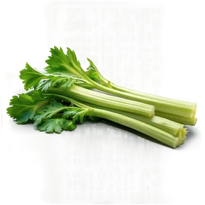 Celery Leaves PNG 6