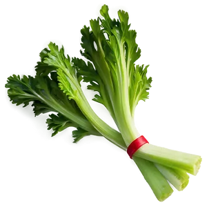 Celery On White Background PNG Ckk PNG