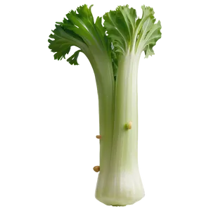 Celery Piece PNG 06252024