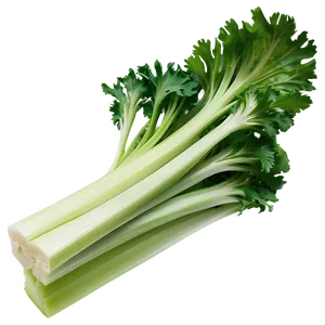 Celery Piece Png 50 PNG image