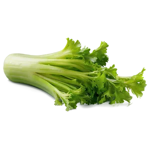 Celery Piece PNG Dyb75 PNG