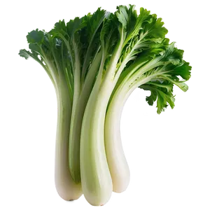 Celery Salad Ingredient Png Vpw62 PNG image