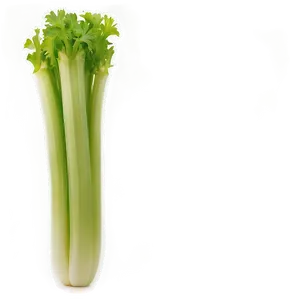 Celery Snack Png Mew83 PNG image