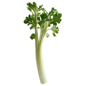 Celery Sprig Png Fma78 PNG image