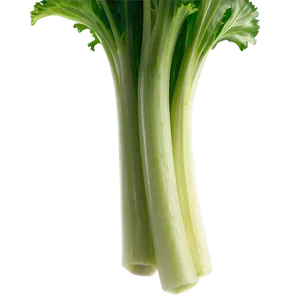 Celery Stalk PNG 64 PNG