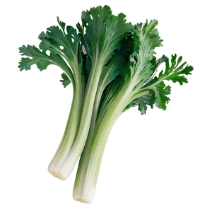 Celery Vegetable PNG 06252024