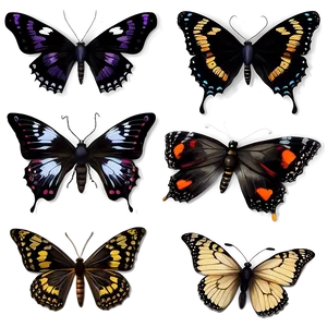 Celestial Black Butterfly PNG Bhr PNG