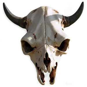 Celestial Cow Skull PNG 06132024