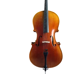Cello In Concert Hall Png Fac PNG image