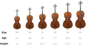 Cello Sizes Comparison Chart PNG image