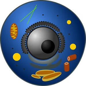 Cellular_ Structure_ Illustration