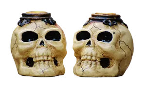 Ceramic Skull Potson Black Background PNG image