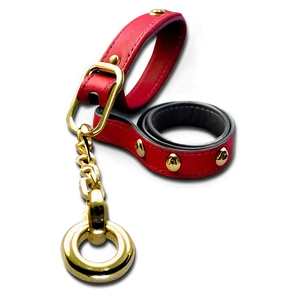 Chain Dog Leash PNG 3