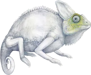 Chameleon Illustration Artwork PNG image