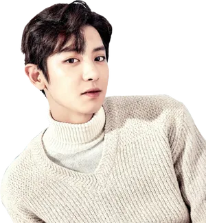 Chanyeolin White Turtleneck Sweater PNG image