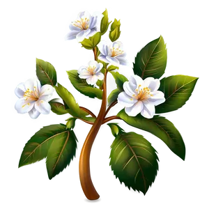 Charming Blossom Clipart Png 06202024 PNG image