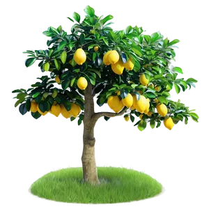 Charming Lemon Tree Scene PNG 06212024