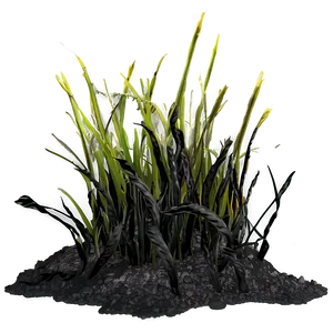 Charred Burnt Grass Png 23 PNG image