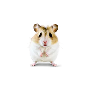 Cheeky Hamster Png 05232024 PNG image
