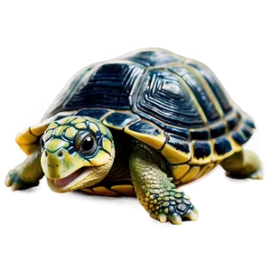 Cheerful Baby Turtle Png Yna PNG image