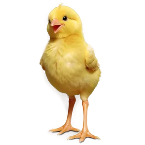 Cheerful Chick PNG 05242024 PNG