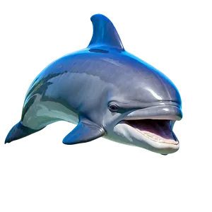 Cheerful Dolphin PNG 14