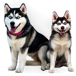 Cheerful Siberian Husky PNG 44 PNG