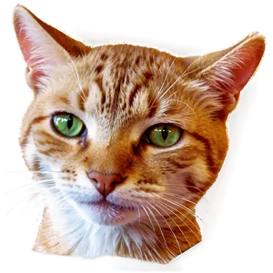 Cheery Cat PNG 71