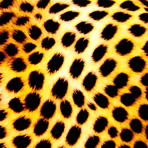 Cheetah Print Closeup View PNG 4