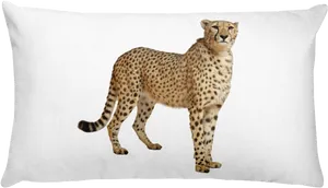Cheetah Print Cushion Decor