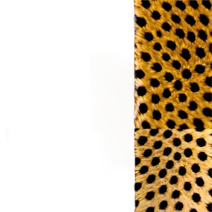 Cheetah Print Design PNG 39