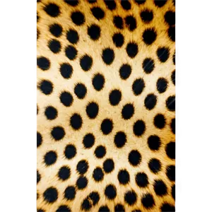 Cheetah Print Design PNG Npw