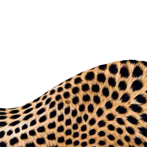 Cheetah Print Fabric Simulation PNG 05232024 PNG