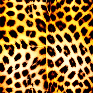 Cheetah Print Fashion Texture PNG 88