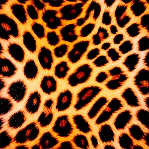 Cheetah Print For Print And Web PNG 69 PNG