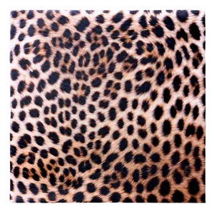 Cheetah Print Invitation Background PNG Crl20 PNG