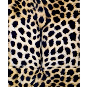 Cheetah Print Invitation Background PNG Cti3 PNG