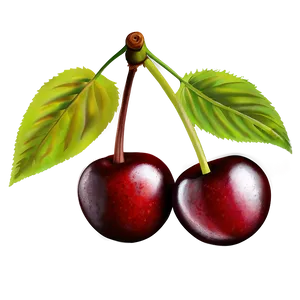 Cherries Drawing Png 06212024 PNG image