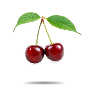 Cherries Isolated PNG Tyh7 PNG