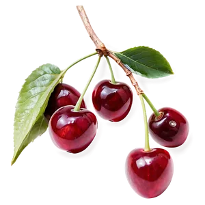 Cherries On Branch Png 21 PNG image