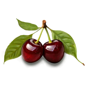 Cherries Still Life PNG 06212024