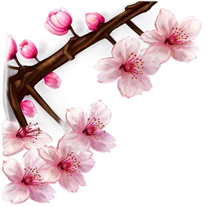 Cherry Blossom Aesthetic PNG Kqw98 PNG