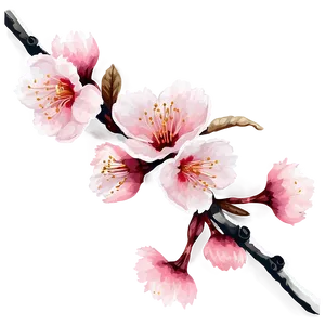 Cherry Blossom Aesthetic Wallpaper PNG 65