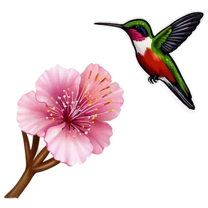 Cherry Blossom And Hummingbird PNG 29
