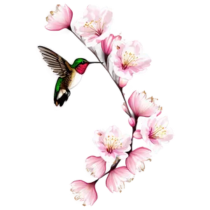 Cherry Blossom And Hummingbird PNG 94